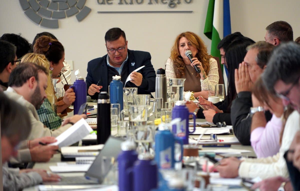 Lastra defendió el proyecto de pase a planta permanente en la reuniones de Comisiones de la Legislatura